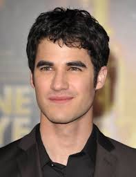 Just like curly hair, wavy hair or type 2 hair falls under different categories. Darren Criss Wavy Hair Men Mens Hairstyles Short Mens Hairstyles