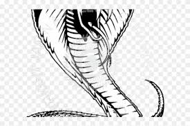 From shop akalns $ 5.00. Drawn Snake Viper Snake Drawings Of A Viper Hd Png Download 640x480 4592324 Pngfind