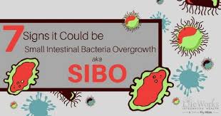 small intestine bacteria overgrowth