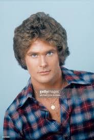 Actor and singer David Hasselhoff poses for a portrait