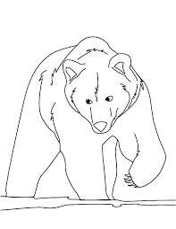 These bears have different colors, such as blue, yellow, purple, pink, and brown. Pin On Brown Bear Coloring Pages
