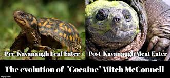 How donald trump, mitch mcconnell and lindsey graham bonded over the effort to reshape the supreme courtditch mitch ⛏. Maga Memes Gifs Imgflip