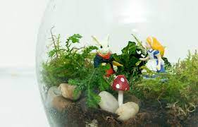 Pin By Diana Esry On Alice In Wonderland Beautiful Terrariums Succulent Terrarium Terrarium