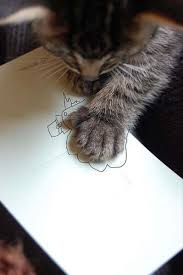 Cat Art Cutest Paw Yavru Kediler Kedi Hayvanlar