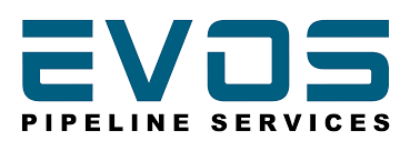 However the team lose right from round 1 to hall of fame at 2017 vcs b. Home Evos Pipeline Services