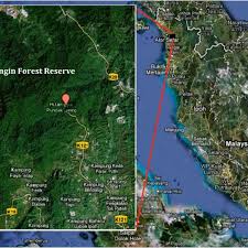 Maybe you would like to learn more about one of these? Map Of Bukit Wang Recreational Forest Source Google Maps 2010 Download Scientific Diagram