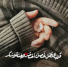 عبارات جميلة للفيس بوك مع الصور arm warmers image quotes fingerless gloves