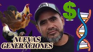 Los prietos de Spring Grove