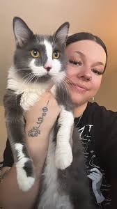 Lost cat found in Pasadena, Texas