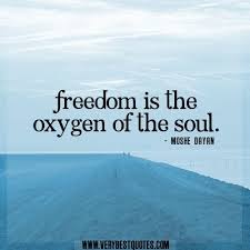 His priorities for a rich and contented life were friendship, freedom, the pleasures of an examined life. Freedom Freedom Quotes Life Freedom Quotes Inspirational Quotes Freedom