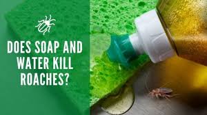 Pour some of it in a spray bottle and spray the solution on areas where ants are present. Does Salt Kill Or Repel Roaches Epsom Salt