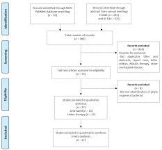 Biomolecules Free Full Text Dmards Gut Microbiota Feedback Implications In The Response To Therapy Html