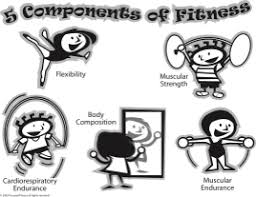 Cardiovascular fitness the heart and lungs supply the working muscles. Five Components Of Fitness Joesfitnessbrigade