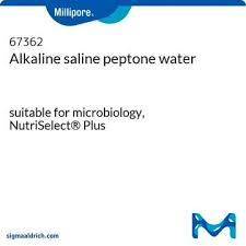 Image result for Peponium sp. A