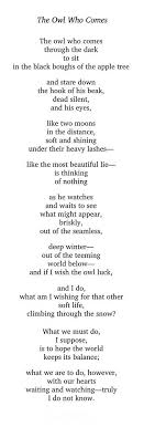 The Owl Who Comes By Mary Oliver Poetic Words Mary Oliver Poems Mary Oliver