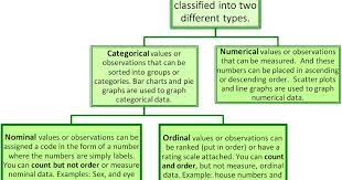 Types Of Statistical Data Numerical Categorical And Ordinal When Working With Statistics It S Important To Recogni Statistical Data Bar Graphs Data