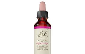 Watch gita hariani, a certified bach flowers therapist, talk about how. Bach Willow Forgive Forget Bach Flower Remedy Flower Essence
