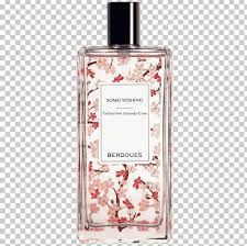 It is believed that jasminum sambac, arabian jasmine, was brought to the philippines from central asia in the 1700s. Perfume Grasse Arabian Jasmine Patchouli Cosmetics Png Clipart Aftershave Arabian Jasmine Cherry Blossom Cosmetics Cru Free