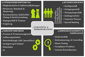 What do you want to do: Verankerung Die Transformation Chancen Und Risikoorientiert Aufsetzen Und Steuern Inspired Green