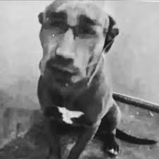 Stream Marc Mango music