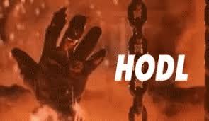 Here are top 10 memes and gifs about bitcoin. Latest Hodl Gifs Gfycat