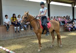 De ponyhoeve is een kindvriendelijke manege waar het welzijn van de ruiters en de pony's op de eerste plaats staat. Editiepajot Schepdaal Manege De Ponyhoeve Verwent Ruitertjes En Pony Tijdens Vakantie