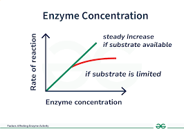 What are the Factors Affecting enzyme Activity? - GeeksforGeeks