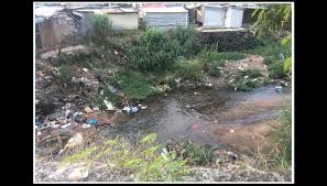 They created a small lawn area with a green. College Of Agriculture Engineering And Science University Of Kwazulu Natal