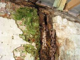 See more of schlaues haus oldenburg on facebook. Denkmal Sanierung Das Schlaue Haus Oldenburg Joachim Wiessner