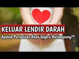 Selama kehamilan, leher rahim ditutupi oleh lendir yang kental. Lendir Keputihan Bercampur Darah Penyebab Keputihan Saat Hamil Tua Apakah Berbahaya Umumnya Hal Ini Terjadi Dikarenakan Keputihan Tersebut Terkontaminasi Dengan Bakteri Atau Jamur Reyanshalston79