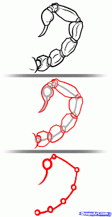 How To Draw Scorpions Step 3 1 000000127385 5 Gif 800 1 550 Pixels Bugs Drawing Free Stencils Printables Drawing Examples