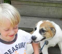 Beethoven's Web Page