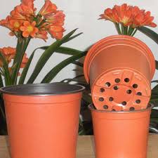 Check spelling or type a new query. Small Plastic Plant Pots Wilson Garden