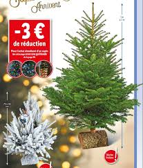 Sapin de noel geant casino. Lidl Sapin De Noel Nordman Ou Enneige Pas Cher Reduction