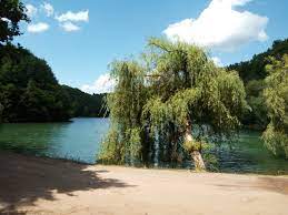 Basescu, din nou in pelerinaj in locuri sfinte. 7 Locuri Din Bihor Unde PoÅ£i SÄƒ Te Bucuri De NaturÄƒ