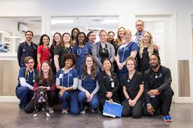 Being raised in a military family, he grew up in many different states. Vet Pet Profiles Capital Veterinary Specialists Tallahassee Magazine