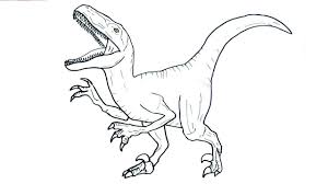 We did not find results for: Printable Jurassic World Velociraptor Coloring 3352 Coloring Home