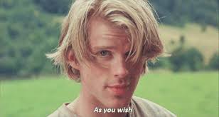 Image result for wesley princess bride