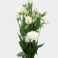 Image result for eustoma lisianthus in vase