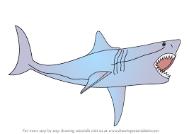 Extinct animals still have a place on our list! Learn How To Draw The Meg Aka Megalodon Extinct Animals Step By Step Drawing Tutorials