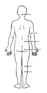 In this interactive learning activity, learners review the terms used to describe relative position of body parts in order to have a common set of words to describe their position. Print Exercise 1 The Language Of Anatomy Flashcards Easy Notecards
