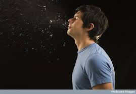 Why Do Some People Sneeze When They Look At The Sun Scienceline Disease Sneezing People