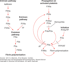 coagulopathy bleeding and cardiac anesthesia emergencies