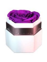 This article contains no synopsis. The Million Roses One In A Million Rose In White Hexagon Box Modesens