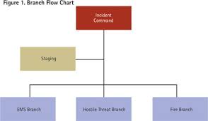 hostile act responses effective command of the warm zone