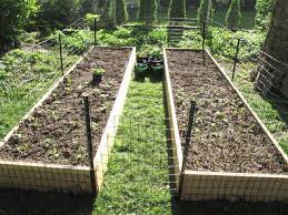 Once, i changed my dog's diet to a better food, i noticed an immediate change in his behavior and demeanor. Photobucket Diy Garden Fence Garden Design Backyard Garden