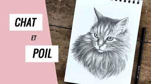 Comment dessiner un chat réaliste avec du poil ou de la fourrure - YouTube
