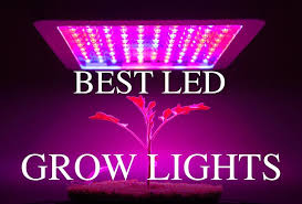 Best Led Grow Lights In This Article We Ll Discuss What Led Grow Lights Are What Are The Benefits And H Best Led Grow Lights Led Grow Lights Grow Lights
