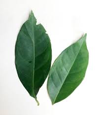 Kostenlose anzeigen aufgeben mit ebay kleinanzeigen. A List Of Common Indonesian Herbs Spices Seasonings Cook Me Indonesian