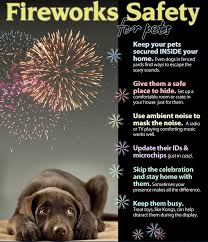 All of our rescues are rescued from situations whereby they no longer would have had a chance to survive. High Country Newfoundland Rescue Home Facebook